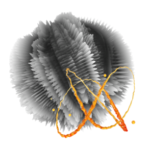 Sex in Middle Life and Beyond